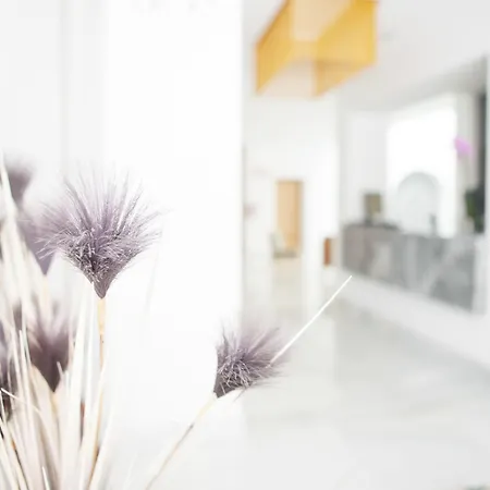 Soho Boutique Capuchinos & Hotel